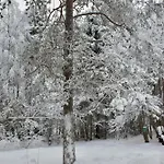 Kaunisto,riverside Near Santa In Town *