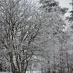 Kaunisto,riverside Near Santa In Town * Rovaniemi