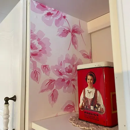 Kaunisto,riverside Near Santa In Town *