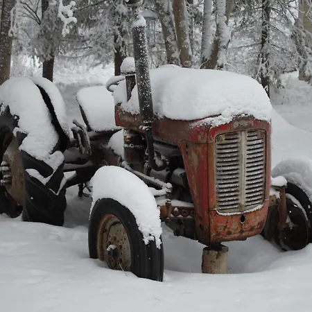 Kaunisto,riverside Near Santa In Town *