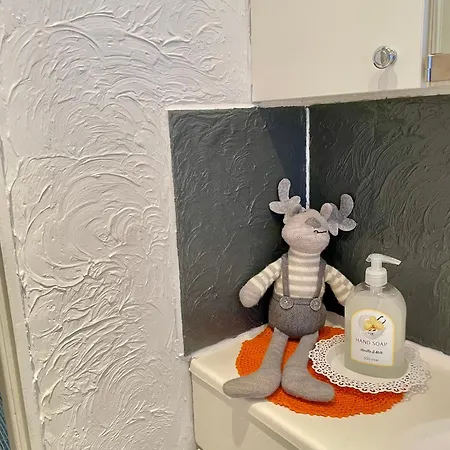 Kaunisto,riverside Near Santa In Town روفانييمي