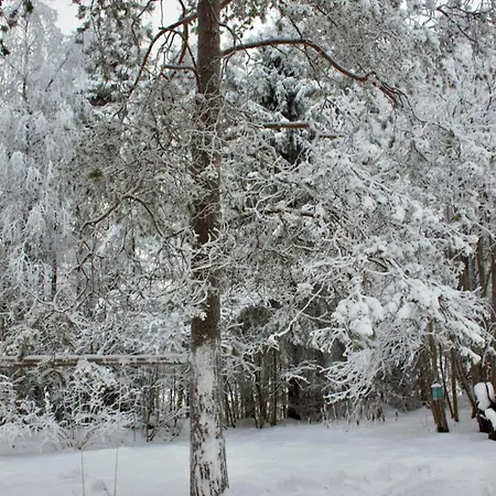 Kaunisto,riverside Near Santa In Town *