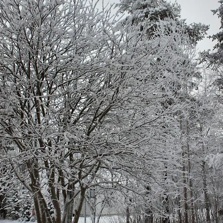 Kaunisto,riverside Near Santa In Town * روفانييمي