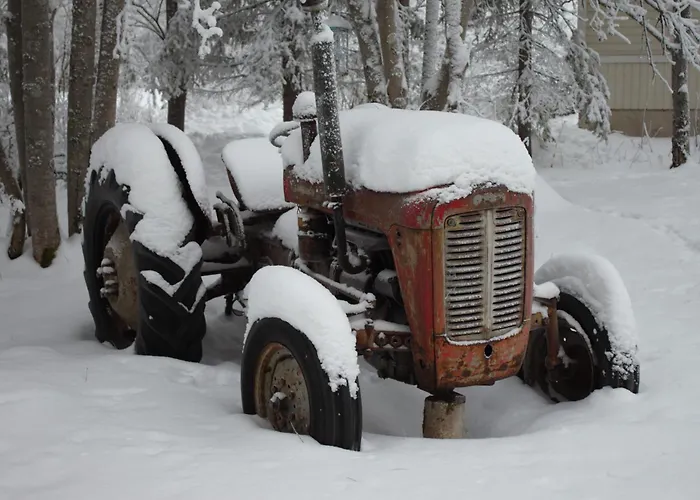 Kaunisto,riverside Near Santa In Town *