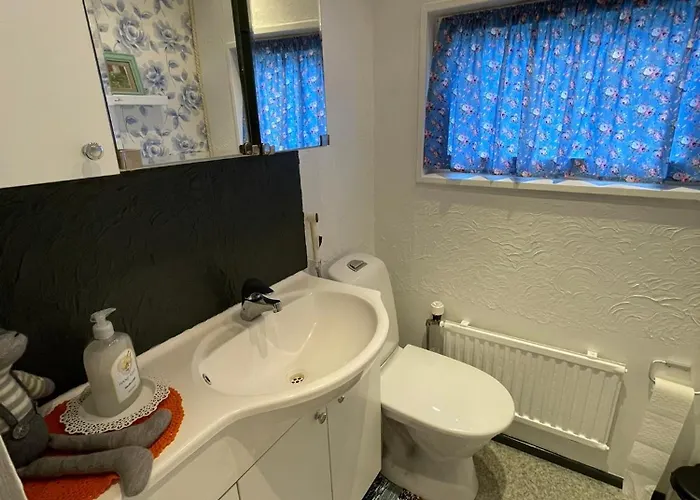 Kaunisto,riverside Near Santa In Town Daire *