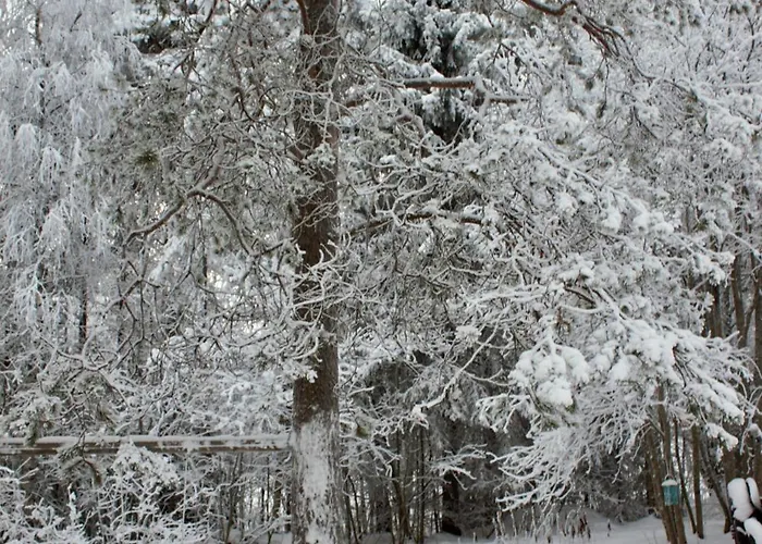 Kaunisto,riverside Near Santa In Town *