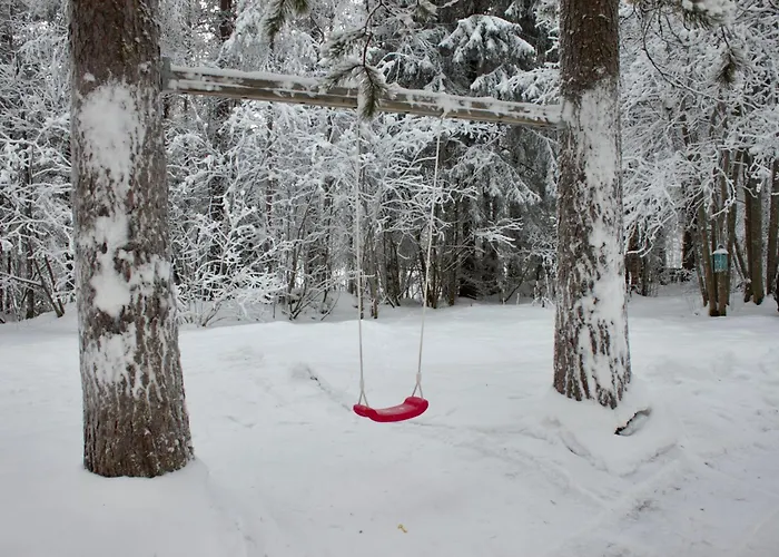 Kaunisto,riverside Near Santa In Town Daire