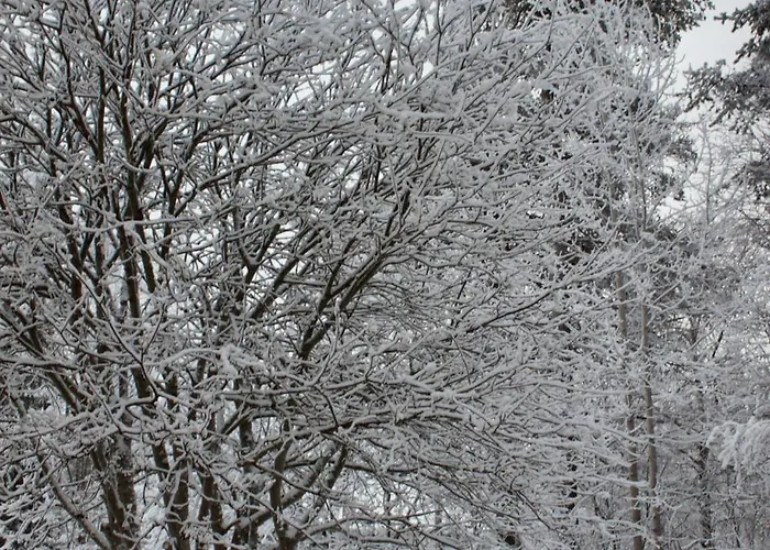 Kaunisto,riverside Near Santa In Town * Rovaniemi
